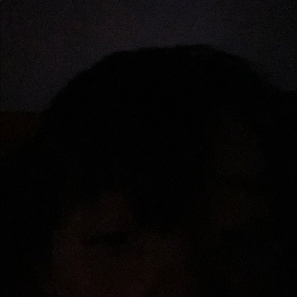 Meet your Posher, Timothy - Picture 1 of 1